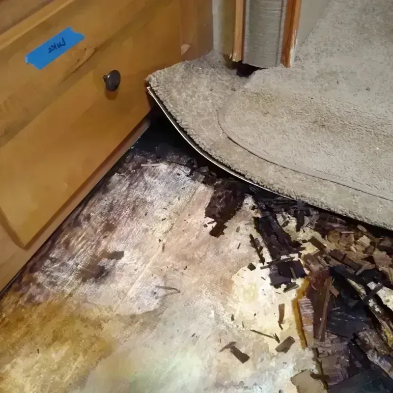 Wood Floor Water Damage in Edinburg, VA